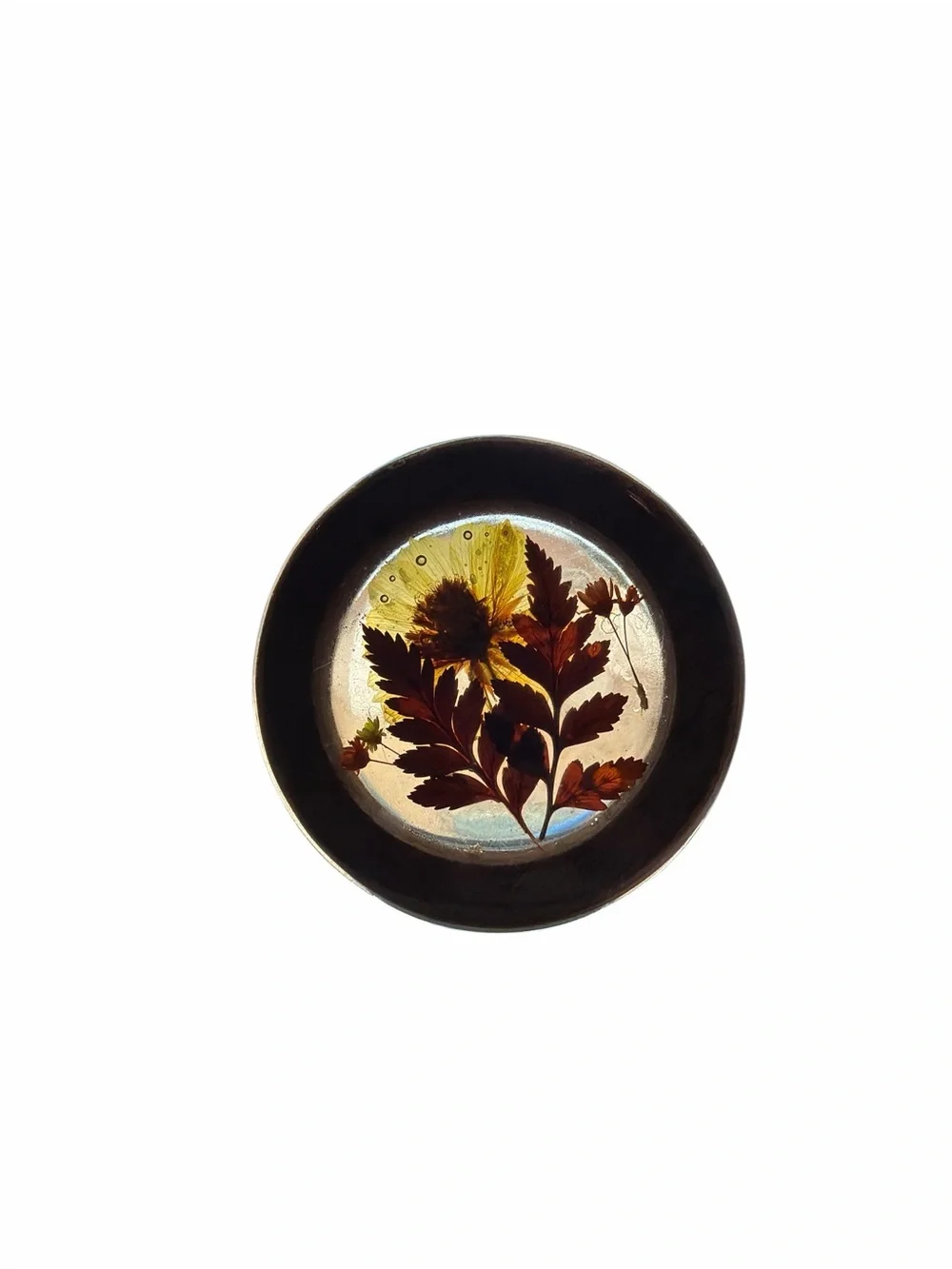 Wood Trinket Jewelry Box With Clear Lid Pressed Flowers